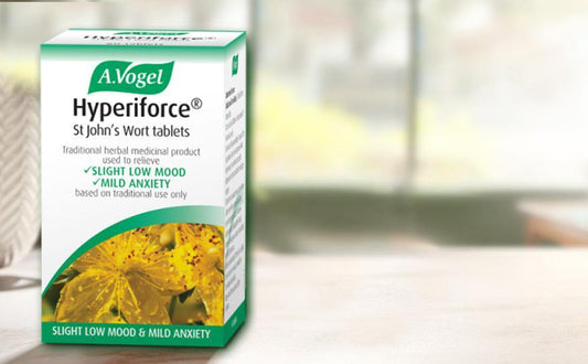 St John's Wort (Hyperiforce) - the sunshine herb - Your Health Store