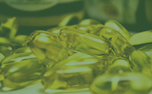 Fish Oil vs Krill Oil  - Which is Best for You?