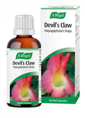 A Vogel Devils Claw 100ml