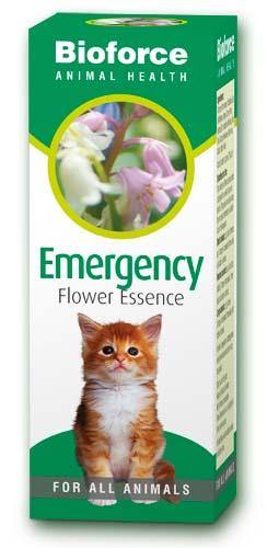 Bioforce Flower Essence - Your Health Store