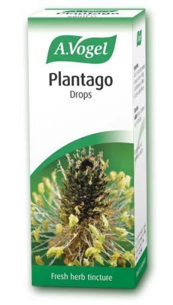 A Vogel Plantago Drops 50Ml - Your Health Store