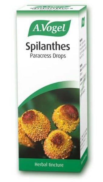 A Vogel Spilanthes 50Ml - Your Health Store