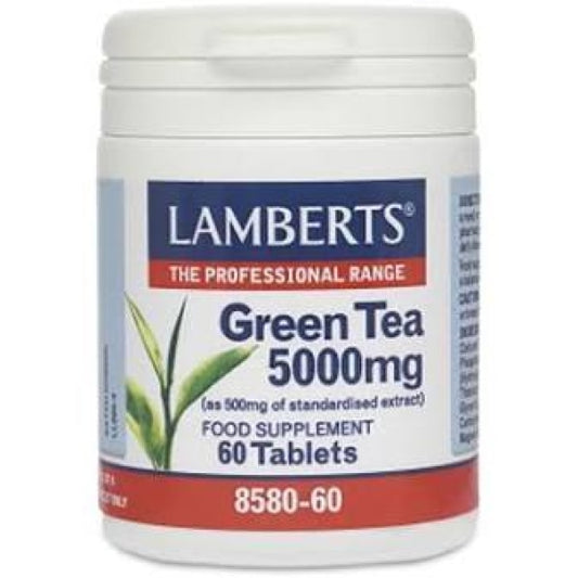 LambertscGreen Tea 5000Mg 60 - Your Health Store